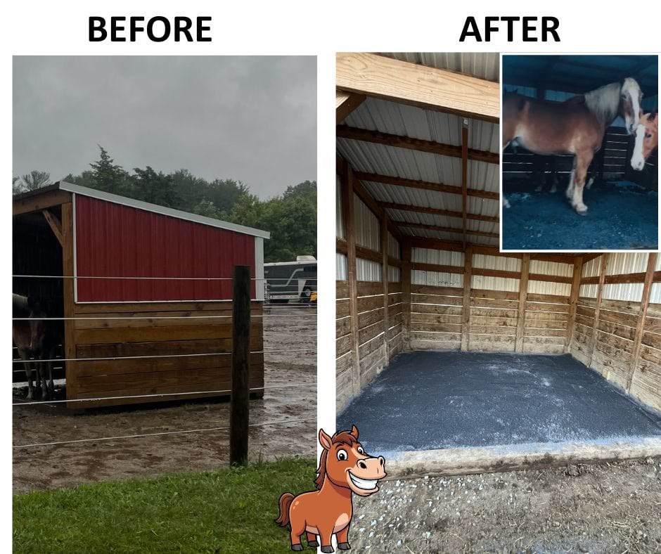 On Solid Ground: How Pennsy Supply Helped Right Foot Ranch Care for ...